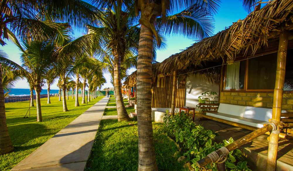 Hotel Playa Palmeras Los Organos Bagian luar foto